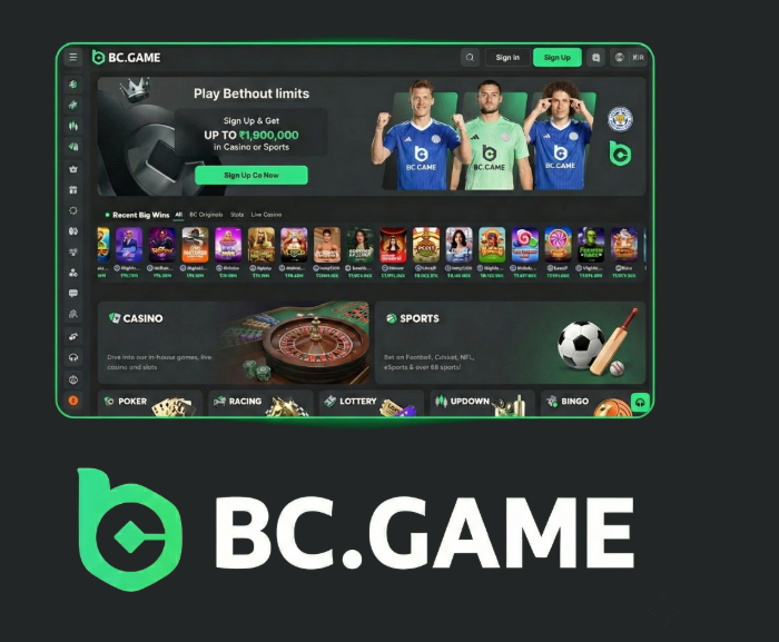 Exploring the Unique Features of BC.Game Platform